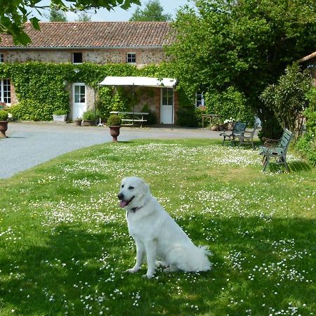 Jolie Tiny House Sous Les Grands Arbres Villa Atacames Buitenkant foto
