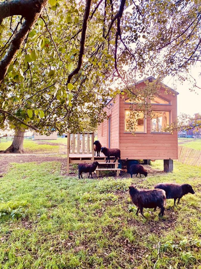 Jolie Tiny House Sous Les Grands Arbres Villa Atacames Buitenkant foto