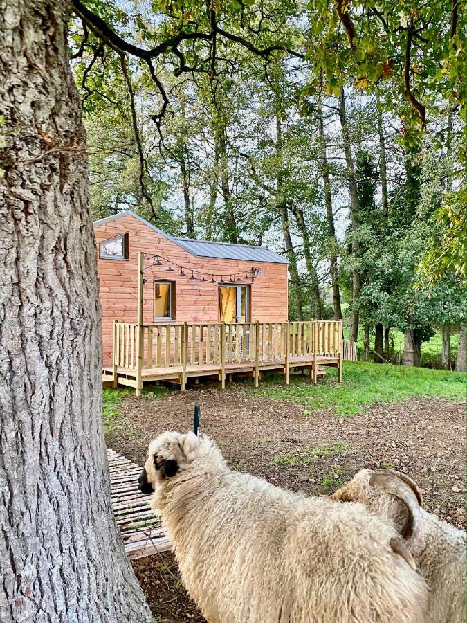 Jolie Tiny House Sous Les Grands Arbres Villa Atacames Buitenkant foto