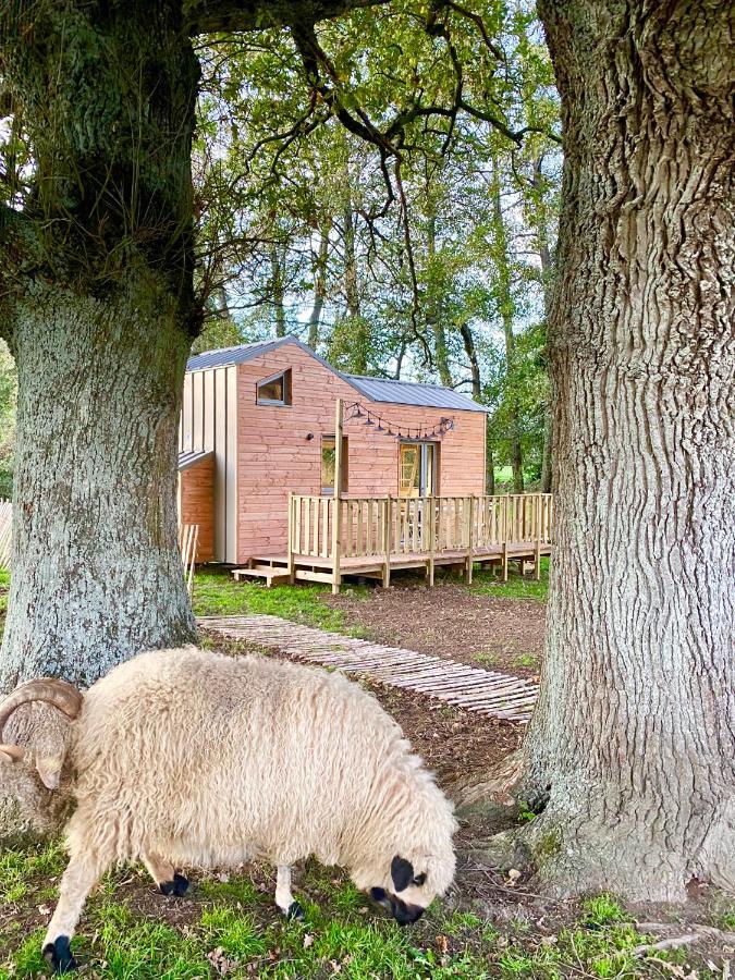 Jolie Tiny House Sous Les Grands Arbres Villa Atacames Buitenkant foto