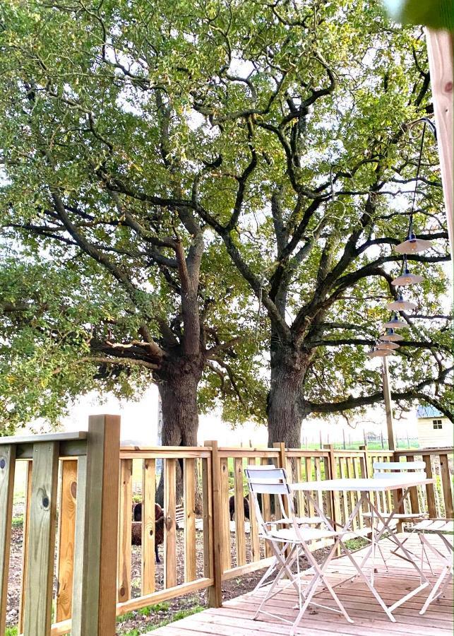Jolie Tiny House Sous Les Grands Arbres Villa Atacames Buitenkant foto